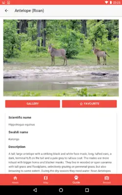 Serengeti Tracker android App screenshot 0